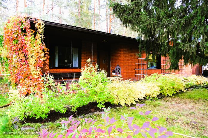 Asuntoilmoituksen kuva