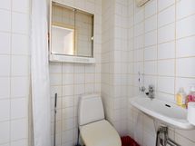 Wc-istuin, peilikaappi ja allas