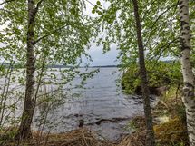 Kuva 5 järvelle päin