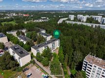 Yhtiön talot rajautuvat metsään.