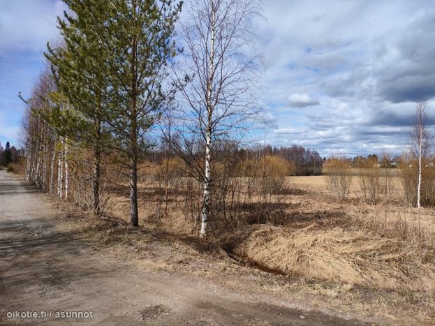 Asuntoilmoituksen kuva