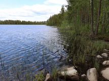 Saarijärvi, Kiesimenjärvi