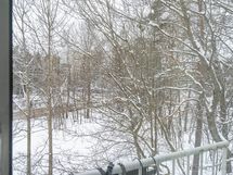 Rauhalliset puistonäkymät