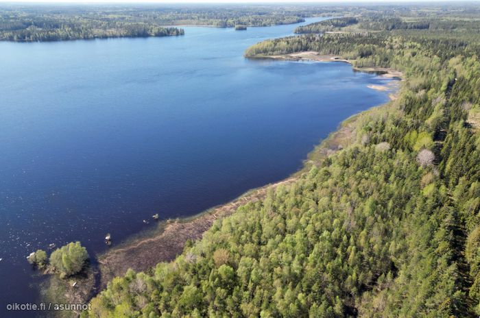 Asuntoilmoituksen kuva