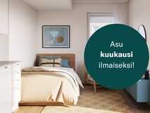 Pihlaja.png