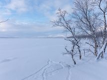 Enontekiö Kilpisjärvi Saanajoki