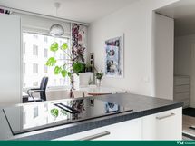 Uusitussa induktioliedessä liesituuletin