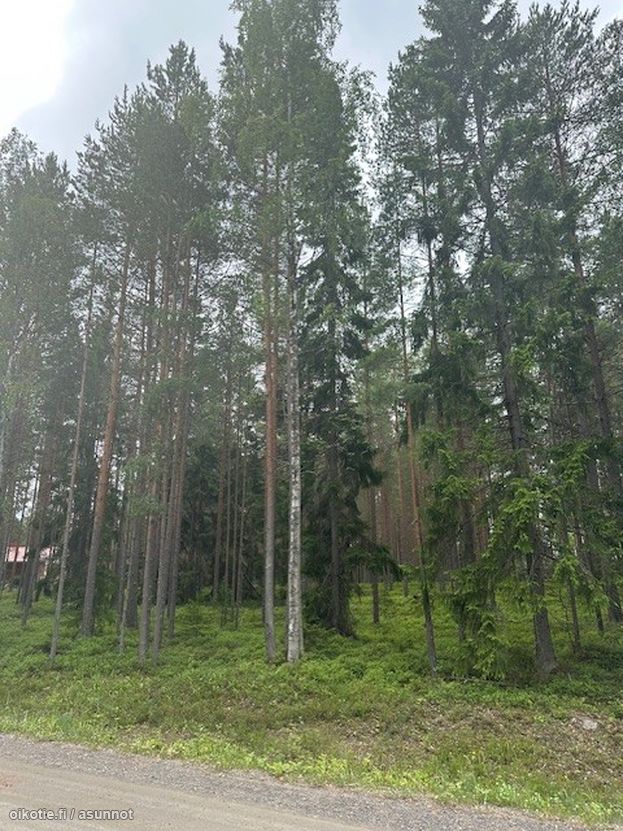 Asuntoilmoituksen kuva