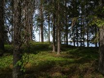 Sonkajärvi, Laakajärvi