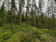 Pieksämäki, Valkeinen-Huhtilampi