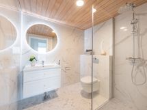 Tulilintu valmis asunto