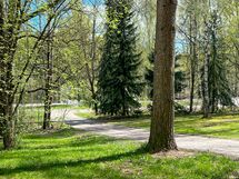 Viehättävät ulkoilureitit lähtevät kotiovelta.