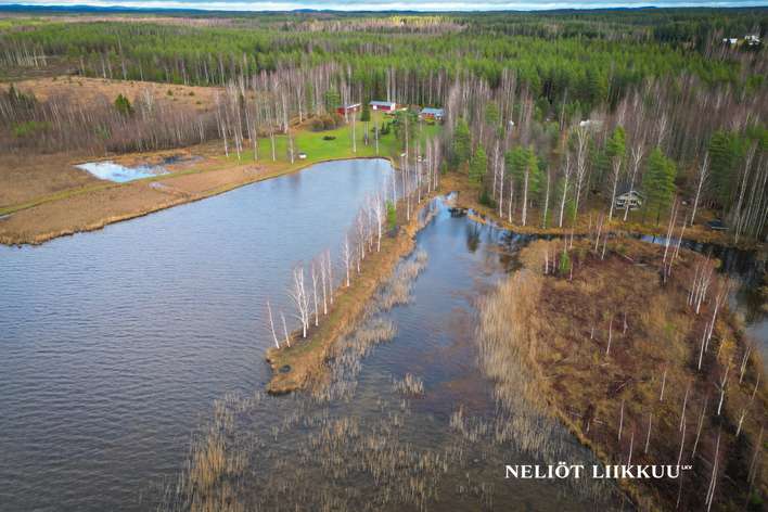 Tontti, 1,08 ha, Kontiolahti - Näkymä 2