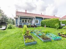 Takapihaa kesäaikaan
