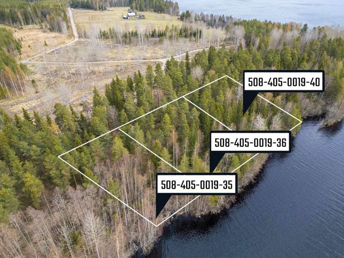 Tontti, 6 419 m², Kolho, Mänttä-Vilppula
