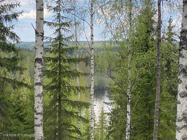 Asuntoilmoituksen kuva