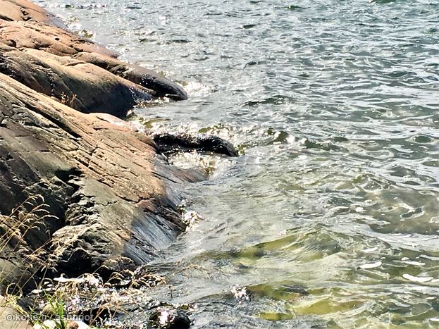 Asuntoilmoituksen kuva