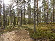 Rovaniemi-Venejärvi