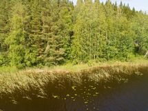 Leppävirta, Suvasvesi, Pouhansaari