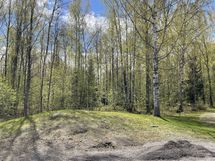 Metsäpolut lähtee ulko-ovelta