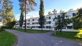 Kohdekuva