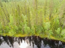 Rautavaara, Ahveninen, Puutisenlahti