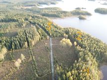 Lampaanjärvi korttelit