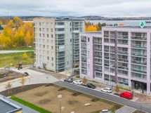 Ilmakuva Samiveturinpuistosta Pyhäjärven suuntaan.