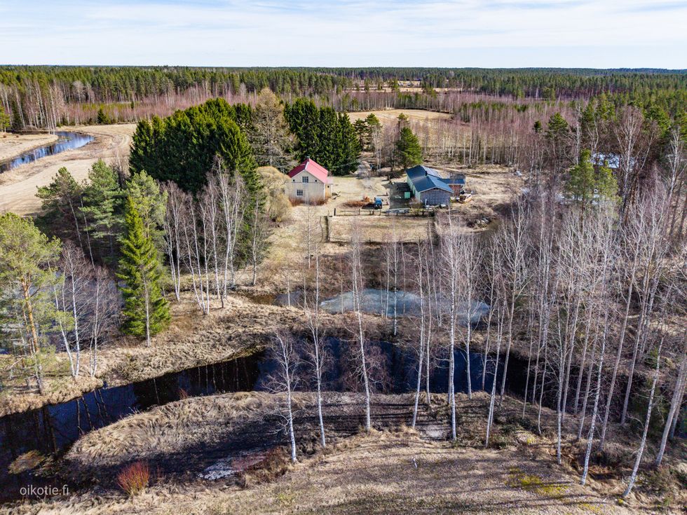 Kohdekuva