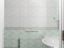 Alakerran erillinen wc