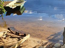 Kalajärvi on kirkas vesinen järvi