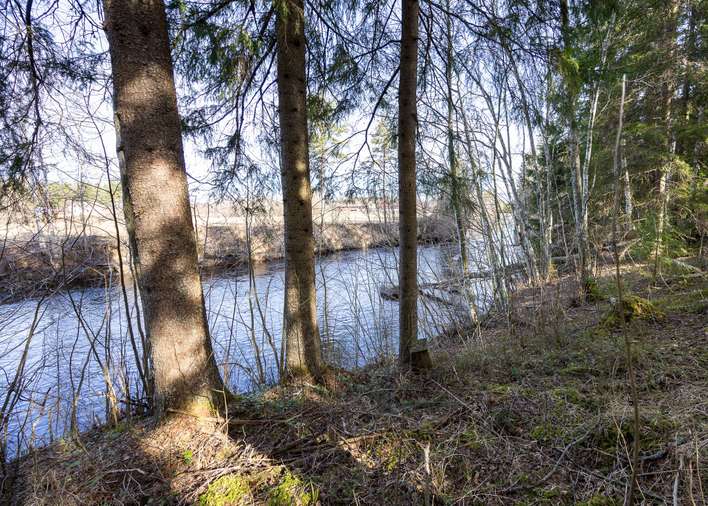 Loma-asunto, mh+kk+oh+pkh+s, 38 m², Honkajoki, Kankaanpää