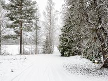 Näkymää lammelle ja tielle.