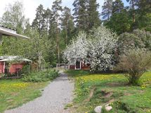 Kevätkuva