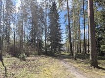 Yhtiön pihalta polku meren rantaan