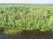 Hankasalmi Hiidenjärvi