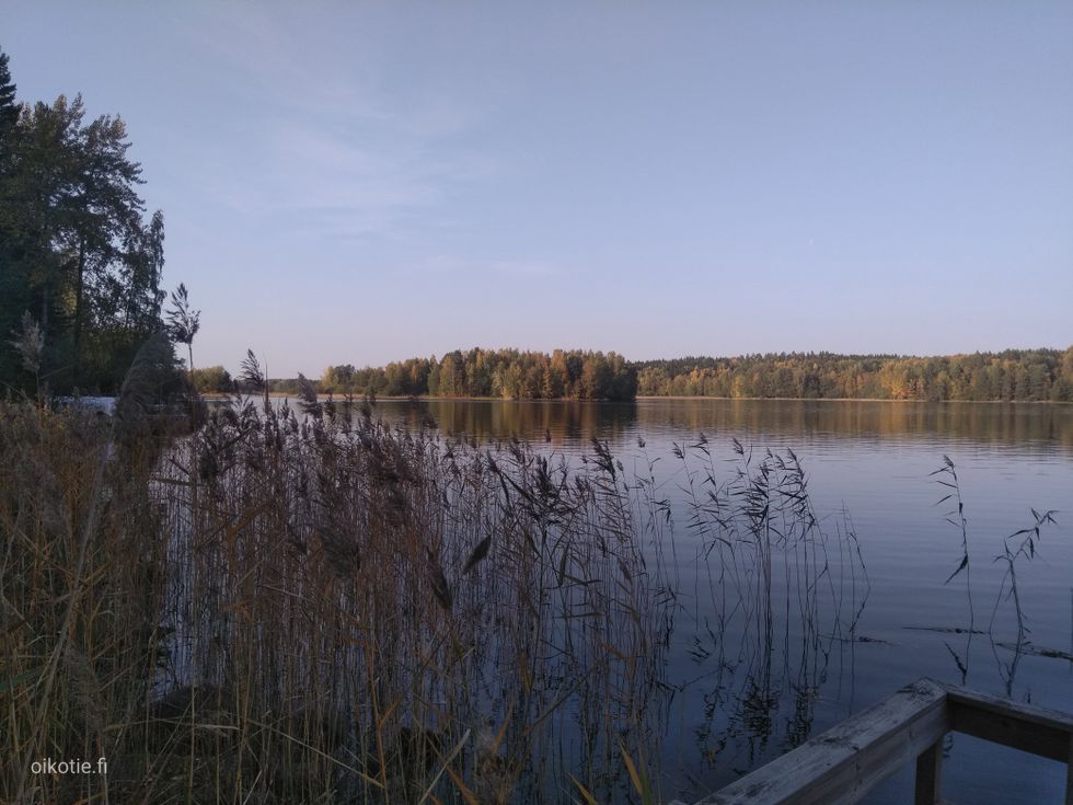 Kohdekuva