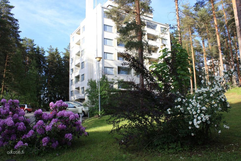 Kohdekuva