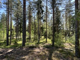 Kohdekuva