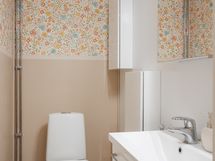 Erillinen WC