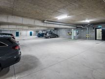 Paratiisilinnun yhteistilat
