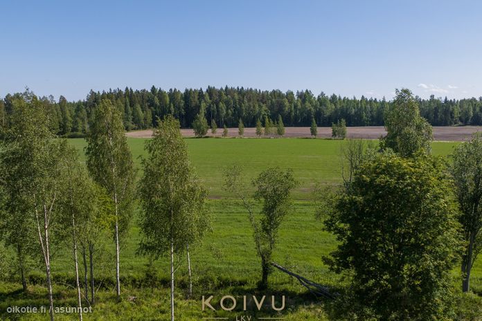 Asuntoilmoituksen kuva