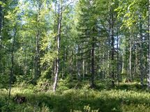 Kuhmo, Iso-Rommakkojärvi-Ontojärvi, Hyrynsalmentie