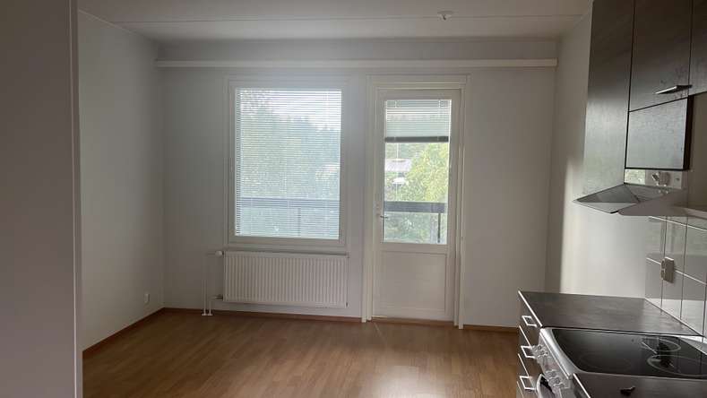 Kerrostalo, 1h + k + s + parveke/terassi, 29 m², Hiironen - Näkymä 4