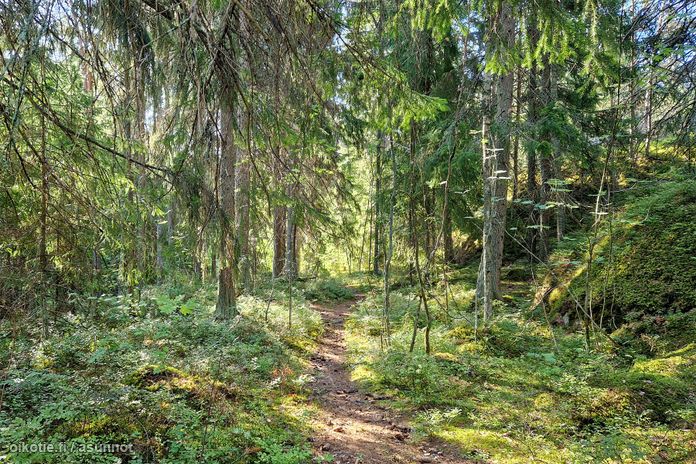 Asuntoilmoituksen kuva