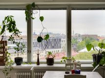 Olohuoneen ikkunalaudalla viherkasvit viihtyvät