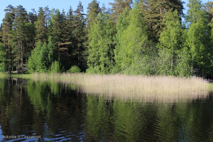 Asuntoilmoituksen kuva