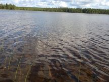 Kuhmo, Iso-Rommakkojärvi-Ontojärvi, Hyrynsalmentie