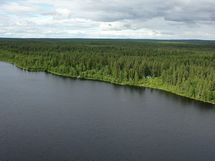 Ranta-aluetta
