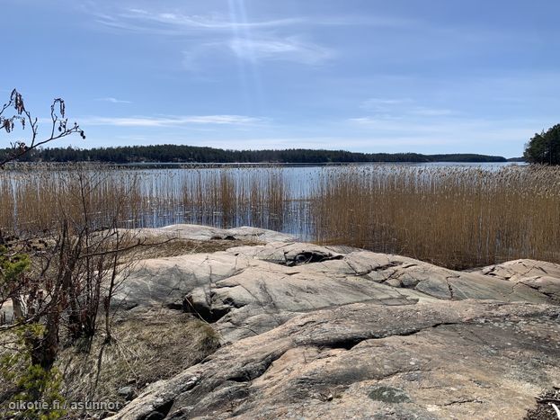 Asuntoilmoituksen kuva